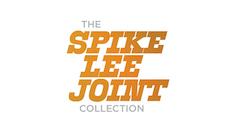 spike lee collection news