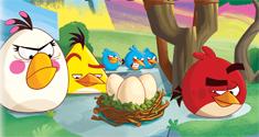 Angry Birds News
