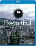 Flowers of Evil Cover