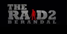 The Raid 2