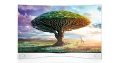 LG OLED