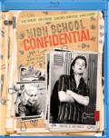 High School Confidential Cover