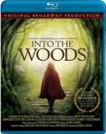 Into the Woods Cover