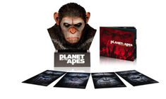 Caesar's Warrior Collection