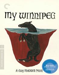 My Winnipeg Cover