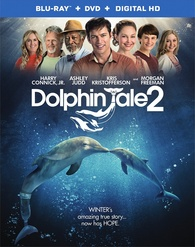 Dolphin Tale 2