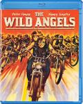wild angels cover