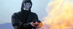 Revenge of the Ninja