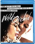 wild orchid cover