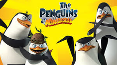 Penguins News