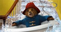 paddington news