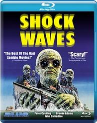 Shock Waves