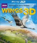 Wings - 3D