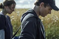 The Harvest