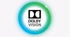 dolby vision logo 2
