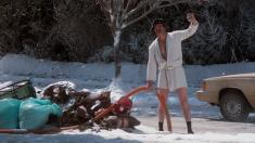 Christmas Vacation 25th Anniversary