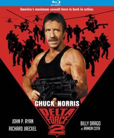 Delta Force 2