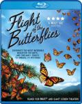 flight butterflies