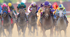 kentucky derby news