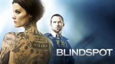 Blindspot News