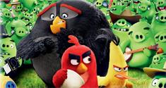 angry birds news