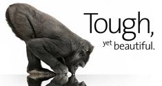 gorilla glass 5