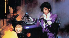 Purple Rain