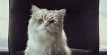 Nine Lives