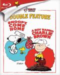 Snoopy Come Home & A Boy Named Charlie Brown