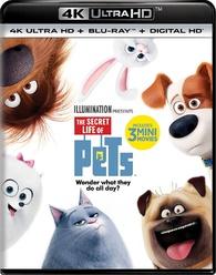 The Secret Life of Pets - Ultra HD Blu-ray