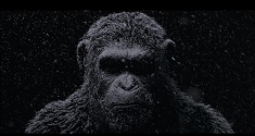 War of the Planet of the Apes
