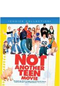 Not Another Teen Movie Choice Collection
