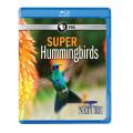 NATURE: Super Hummingbirds