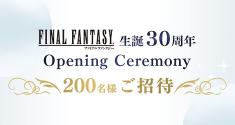 Final Fantasy 30th Anniversary