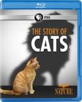NATURE: The Story of Cats