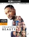 collateral beauty 4k