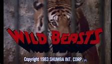 Wild Beasts