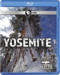 Nature: Yosemite