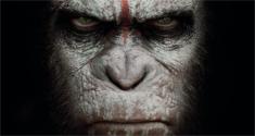 apes 4k news