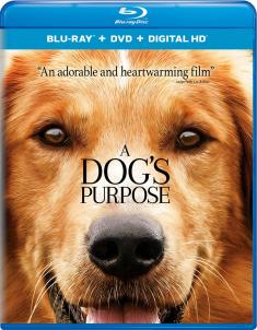 A Dog's Purpose Box Cover