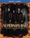 supernatural 12