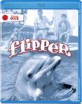 flipper s1