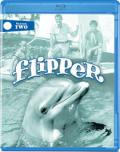 flipper s2