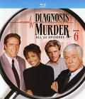 Diagnosis Murder: Season 6