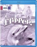 flipper s3