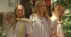 virgin suicides news