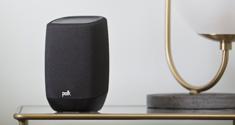 polk assist speaker