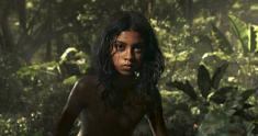 mowgli news
