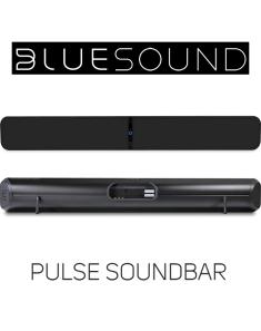 bluesound pulse sound bar cover big