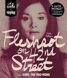 Fleshpot on 42nd Street front cover
